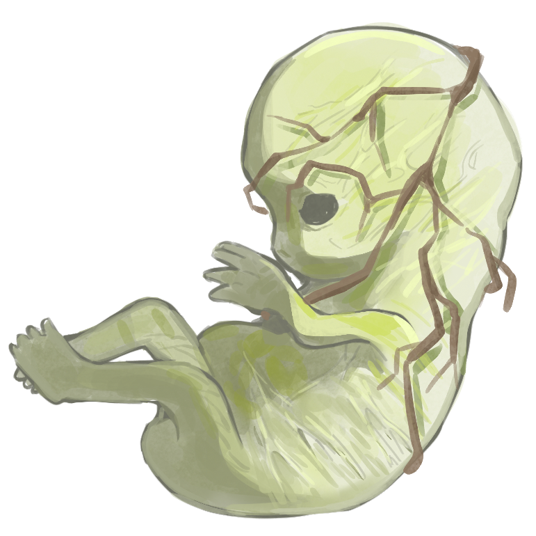 Extinction